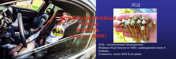 МДПВ Арсеньев